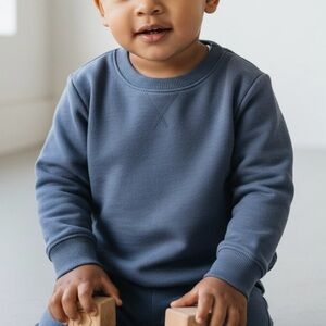 Splendid Toddler Crewneck Pullover Sweatshirt Size 2 Blue Gray NWT